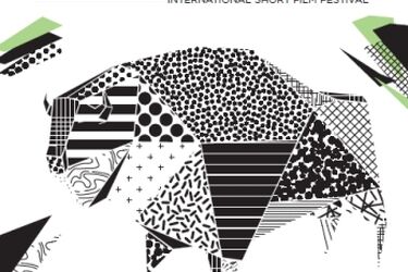 Rekordowa liczba zagranicznych filmów zgłoszona na festiwal ŻUBROFFKA