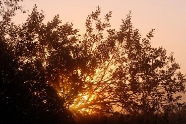 Pogoda na weekend. Zapowiadają się ładne dni