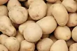Święto Ziemniaka. Jarmark kresowy w Mońkach