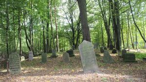 Cmentarz żydowski w Knyszynie został uporządkowany. Może przyciągnąć wielu turystów [ZDJĘCIA]