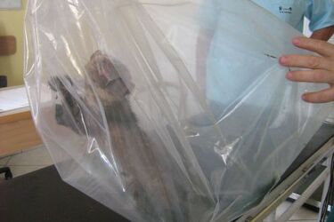 Wystraszony tchórz w szkole. Zwierzę złapali strażnicy miejscy