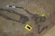 Trwają prace archeologiczne przy ul. Kopernika. Wydobyto szczątki 38 osób