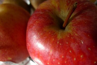 Podlaskie firmy a rosyjskie embargo. Obecna sytuacja, zagrożenia i szanse