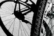 Nie szukaj wymówek - wykręć formę na zimę. W sobotę odbędzie się piknik rowerowy