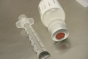 Wirusowe zapalenie wątroby. Ruszył Żółty Tydzień