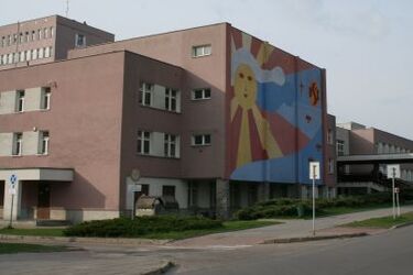 Prawie pół miliona zł dla szpitala dziecięcego. Pieniądze z licytacji luksusowych dań