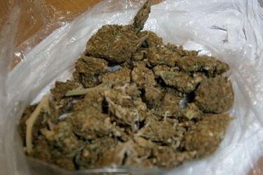 Po marihuanie kierował rowerem. 22-latek wydał dilera