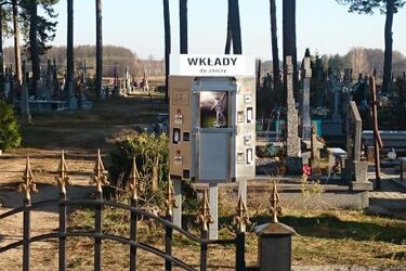 Ile wydamy w tym roku na kwiaty i znicze?