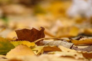 Słoneczny i chłodny czwartek