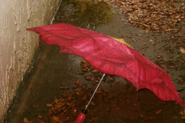 Dawno temu nad Białką. Zabawna aferka przedwojennego Białegostoku