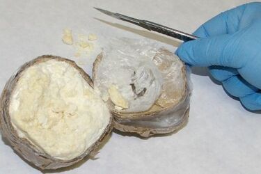 W domu, w centrum miasta, pędził bimber i chował kradzione rowery