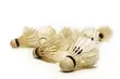 Badminton. W sobotę startuje VI Badders Cup