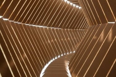 Ciągła zmiana, dowcip, wizualna brawura. Nowe wystawy w Arsenale [WIDEO]