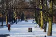 Mamy pierwszy śnieg