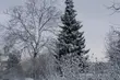 Kilkanaście gmin bez prądu. Wszystko przez mokry śnieg