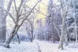 Poniedziałek z minusową temperaturą