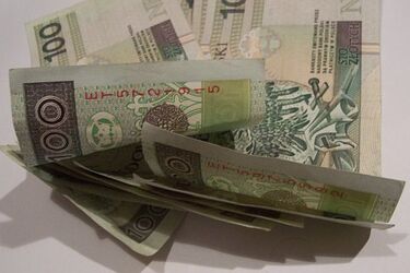 Wyłudzali wysokie kredyty. Cztery osoby zatrzymane