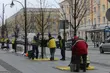 Lipy na Lipowej zabezpieczone przed zimą