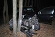 Toyota uderzyła w drzewo. Nie żyje 63-letni mężczyzna