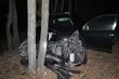 Toyota uderzyła w drzewo. Nie żyje 63-letni mężczyzna
