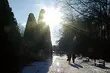 Wtorek zimny i słoneczny