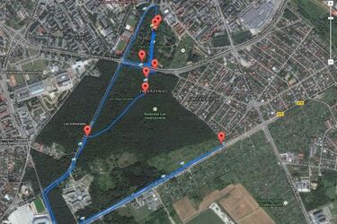 Bieganie w Białymstoku coraz modniejsze. W styczniu rusza Zimowe Grad Prix Zwierzyńca