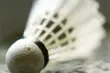 Badminton. Wacha i Cwalina najlepsi