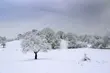 W czwartek 0°C i niskie ciśnienie