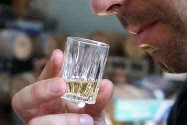 Dawno temu nad Białką. Nabijanie w butelkę wytwornych panów białostockich