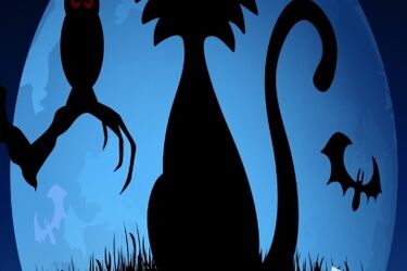 Ruszyły zapisy na Noc Biologów