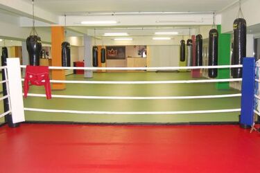 Boks. Darmowe zajęcia dla dzieci w Golden Boxing Gym