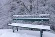 Na Podlasiu silny mróz. Synoptycy ostrzegają