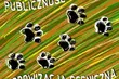 ŻBIK z Armandem. Powiedz, co mają zagrać