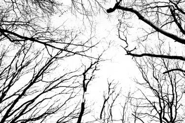 Czwartek pochmurny, ale cieplejszy