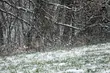 Przed nami pochmurny weekend. Ciśnienie będzie dalej spadać