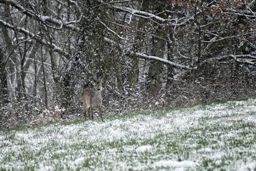 Przed nami pochmurny weekend. Ciśnienie będzie dalej spadać