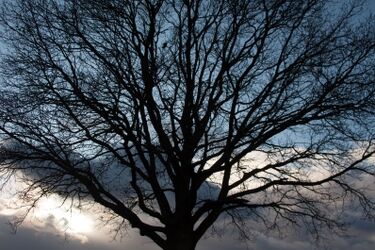 Przed nami pochmurny poniedziałek