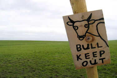 Dwie twarze: Pojawiły się elektroniczne zwierzęta! [FELIETON]