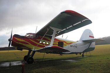 Referendum ws. budowy lotniska w sądzie