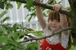 Niania przez 3 miesiące za darmo