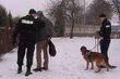 42-latek okradał altanki. Grozi mu nawet 15 lat więzienia