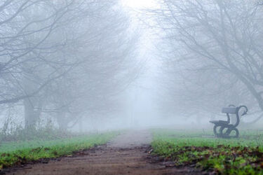 Wtorek mglisty i dość chłodny