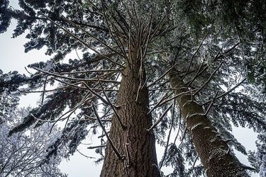Środa będzie pochmurna i chłodna