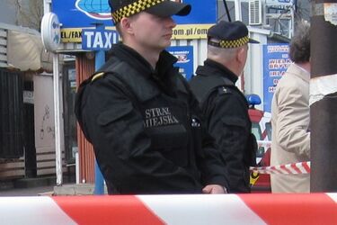 Ul. Transportowa. Półnagi meżczyzna leżał na trawniku i krzyczał, że się zabije