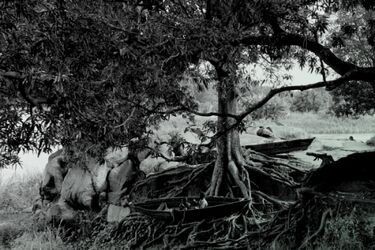 Krzysztof Miller i jego "Niedecydujący moment". Wystawa przyjeżdża do Białegostoku