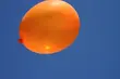 Kolorowe balony polecą w niebo. Happening przed szpitalem dziecięcym