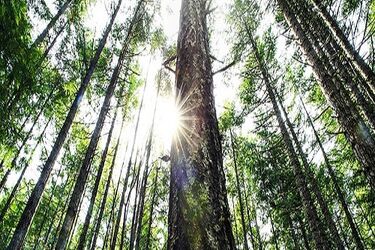 Piątek ciepły i z przejaśnieniani