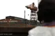 Historia Polek, które walczyły o wolność. Wstęp wolny na pokaz [WIDEO]
