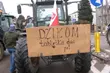 Rolnicy otrzymają pieniądze za straty wyrządzone przez dziki