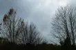 Piątek mglisty i pochmurny